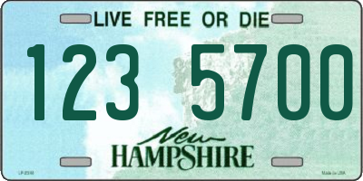 NH license plate 1235700