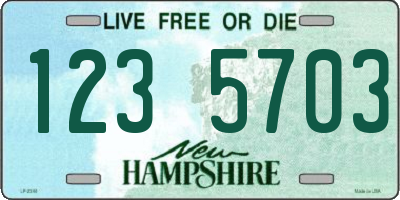 NH license plate 1235703