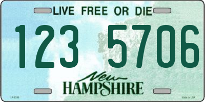 NH license plate 1235706