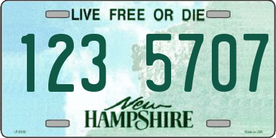 NH license plate 1235707