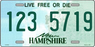 NH license plate 1235719