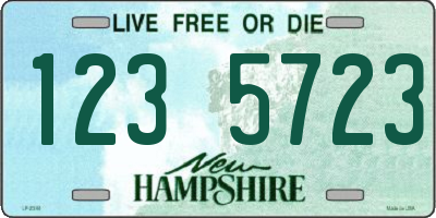 NH license plate 1235723