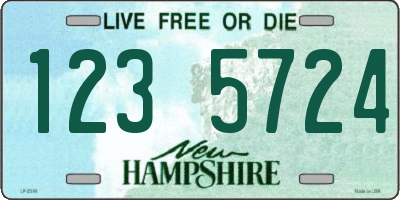NH license plate 1235724