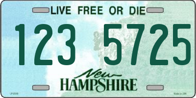 NH license plate 1235725