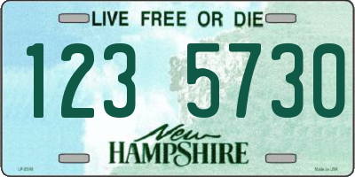 NH license plate 1235730