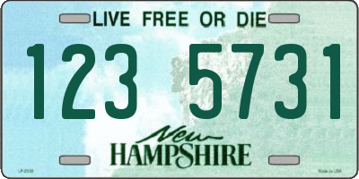 NH license plate 1235731