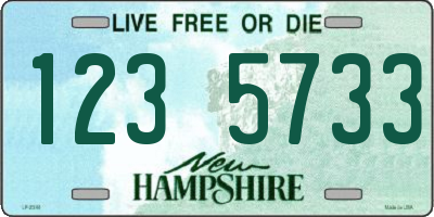 NH license plate 1235733