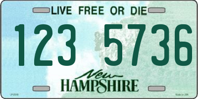 NH license plate 1235736