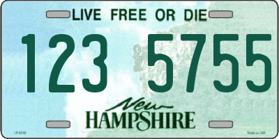 NH license plate 1235755