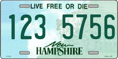 NH license plate 1235756