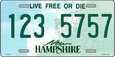 NH license plate 1235757