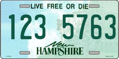 NH license plate 1235763