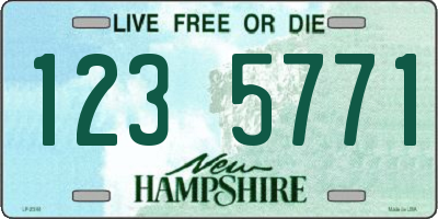 NH license plate 1235771