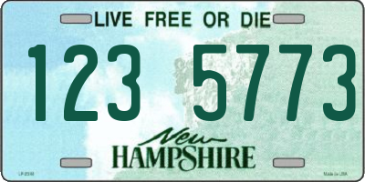NH license plate 1235773