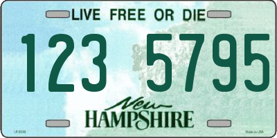 NH license plate 1235795