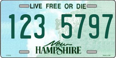 NH license plate 1235797