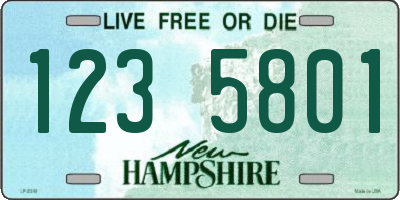 NH license plate 1235801