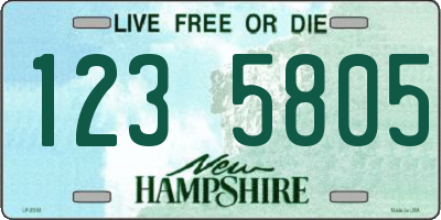 NH license plate 1235805