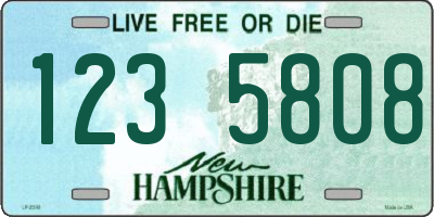NH license plate 1235808