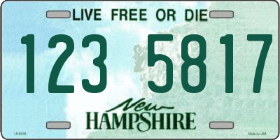 NH license plate 1235817