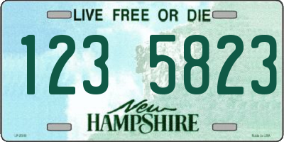 NH license plate 1235823