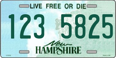 NH license plate 1235825