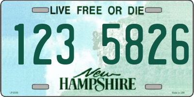 NH license plate 1235826