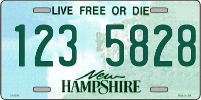 NH license plate 1235828