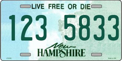 NH license plate 1235833