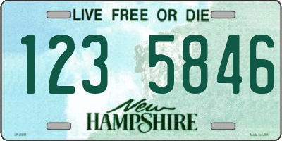 NH license plate 1235846