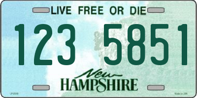 NH license plate 1235851