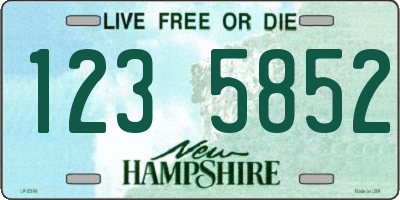 NH license plate 1235852