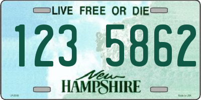 NH license plate 1235862