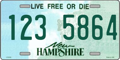 NH license plate 1235864