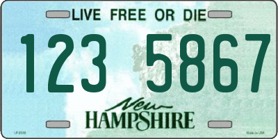 NH license plate 1235867