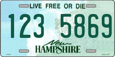 NH license plate 1235869