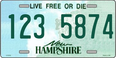 NH license plate 1235874