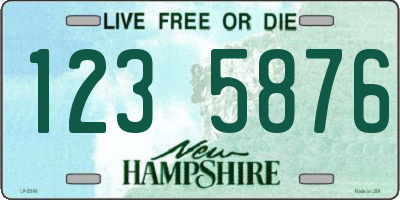 NH license plate 1235876