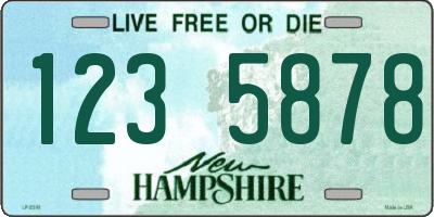 NH license plate 1235878