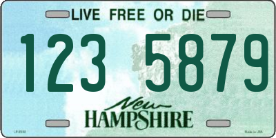 NH license plate 1235879