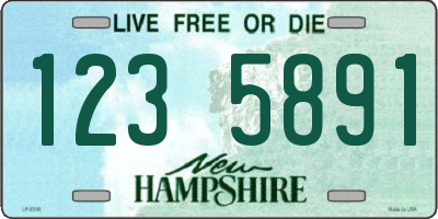 NH license plate 1235891