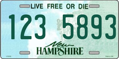 NH license plate 1235893