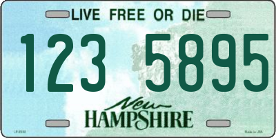 NH license plate 1235895