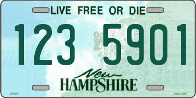 NH license plate 1235901