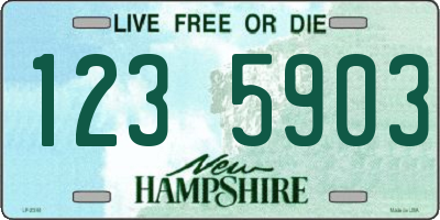 NH license plate 1235903
