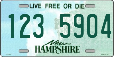 NH license plate 1235904
