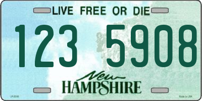 NH license plate 1235908