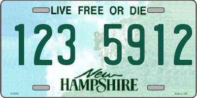 NH license plate 1235912
