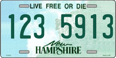 NH license plate 1235913