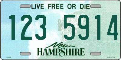 NH license plate 1235914